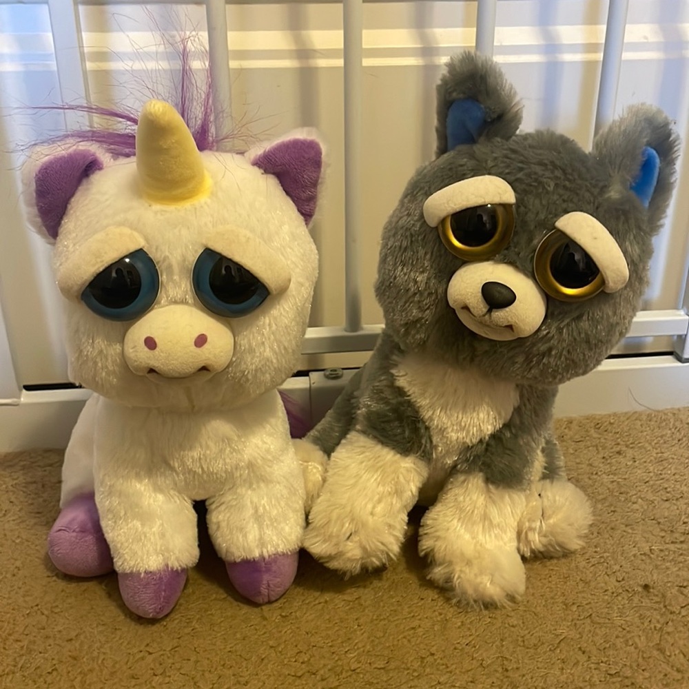 Feisty animals lot